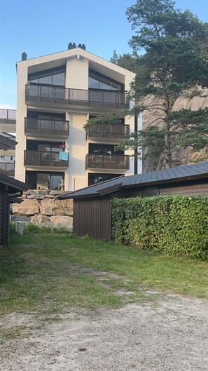 Exteriör