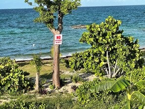 Vista a la playa o el mar