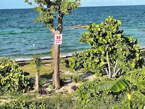 Vista a la playa o el mar