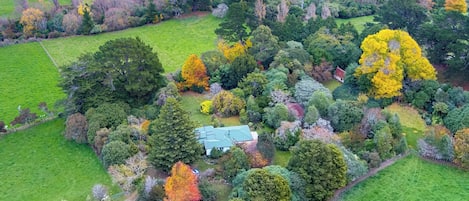 Aerial view of garden oasis with its autumn colours