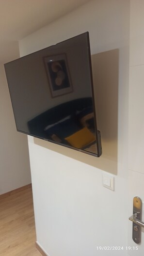 Television