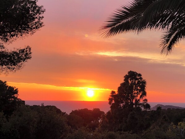 View from property