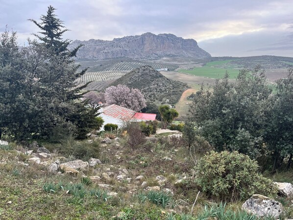 Cortijo Lucero and El Torcál