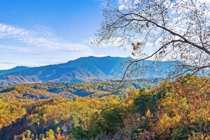 majestic-view-lodge-34