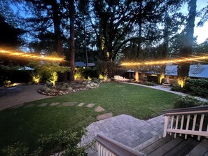 Backyard at Night