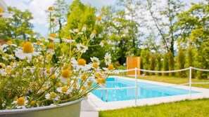 Pool area
