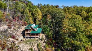 Brand new contemporary/modern log cabin