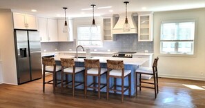 Brand new kitchen with eco-friendly appliances 