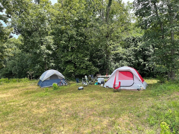 IMG 0246(1)