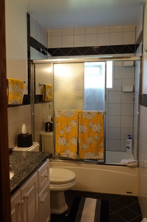 Upstairs bathroom