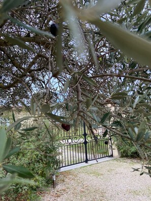 Property grounds