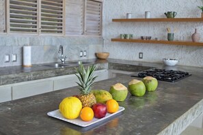 V02a Casa Preciosa  · Villa with 2 Level Pool with Jet Tub (471)