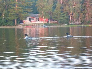 Ulkopuoli