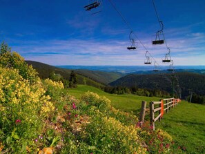 Ciel, Nuage, Fleur, Plante, La Nature, Montagne, Paysage Naturel, Pente, Herbe