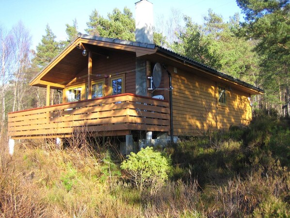Exteriör
