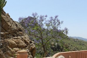 Vue depuis l’hébergement
