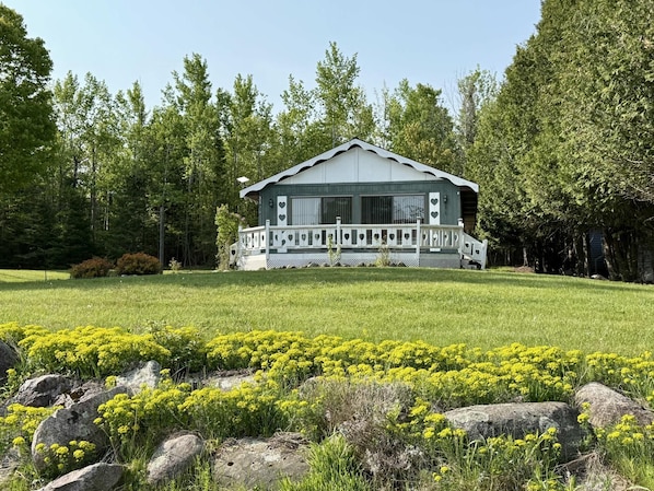 Extérieur