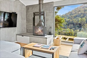 Fire Place and View