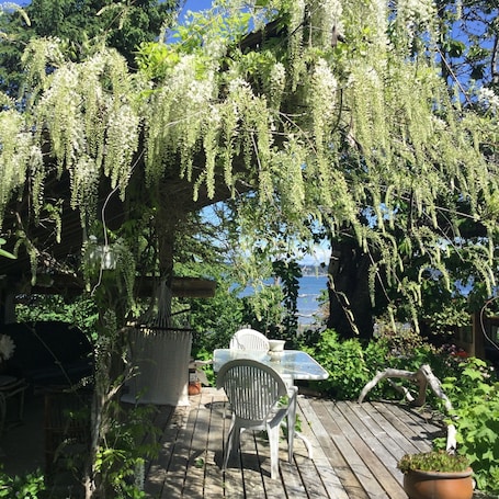 Relax in the hammock in the tea house under the wisteria.