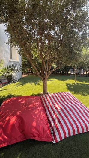 Coin détente à l'ombre de l'olivier