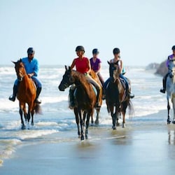 Check out the Equestrian Center!