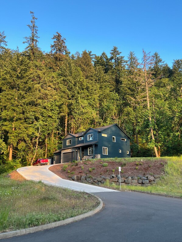 Exterior of the house nestled against the forest hillside.