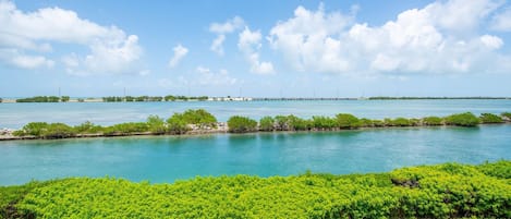 The captivating open water views at Water View Keys Retreat provide a stunning and tranquil backdrop that enchants from every angle.