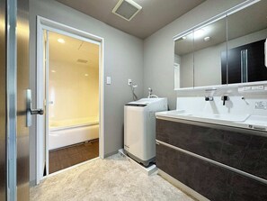 Vanity sink & laundry area