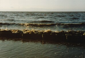 Am Dollart/Nordsee