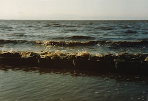 Am Dollart/Nordsee