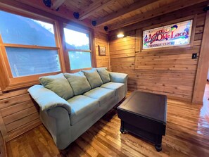 Pull Out Sofa