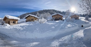 Exteriör
