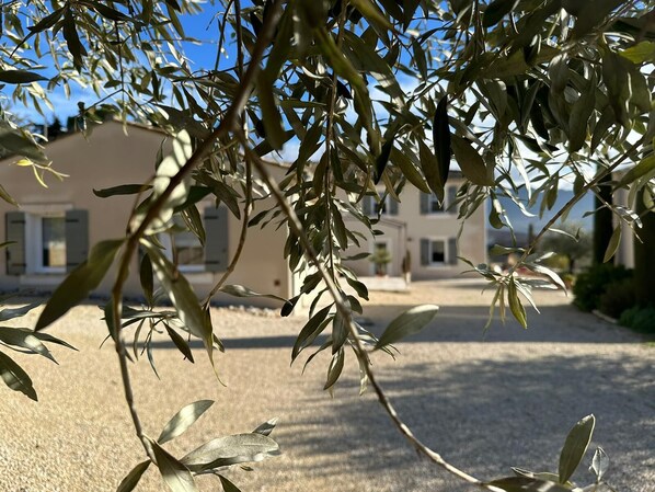 Property grounds