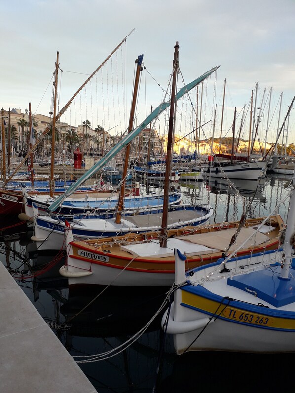 Marina