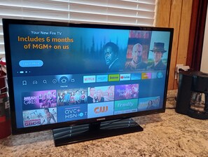 Television