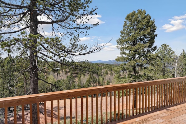 Mountain Views