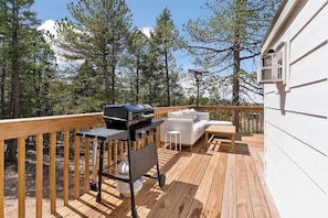 Gas Grill