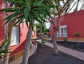 Communal area of the complex 