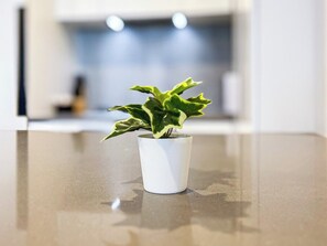 Detalj interiör