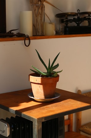 Interior detail