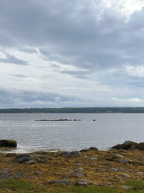 You can hear and watch the seals from the deck.