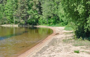 area