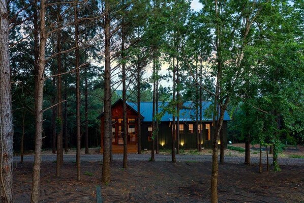 Good amount of trees in front of the cabin