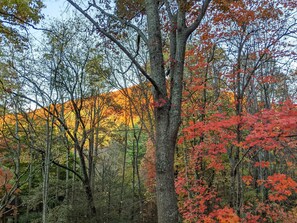 Fall Tapestry