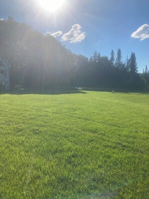 Boendeområde