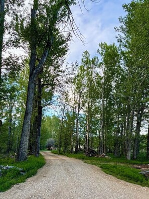 Private driveway