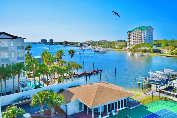 Dolphin Point #601: 