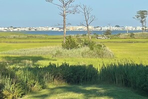 View of the bay from Front of House