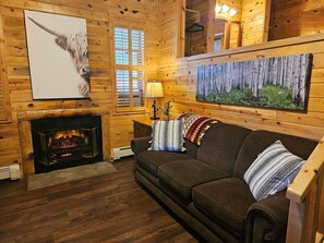 There is an electric fireplace insert.