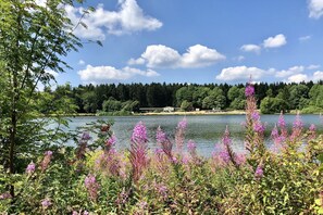 Immediate Surroundings [summer] (&lt;1 km)